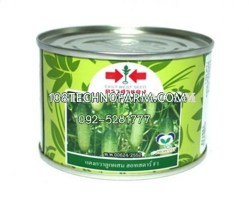 แตงกวา ฮอทสตาร์ 50g.