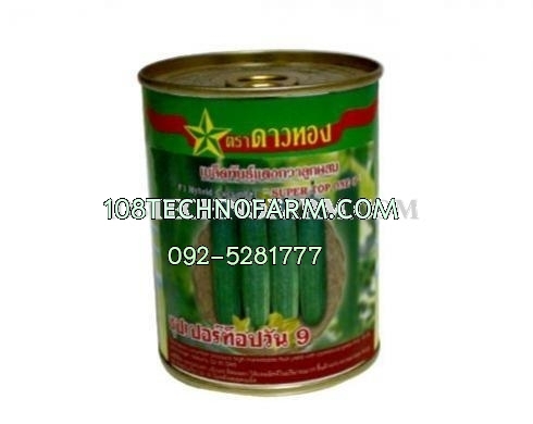 แตงร้านซุปเปอร์ท็อปวัน 9 100g.