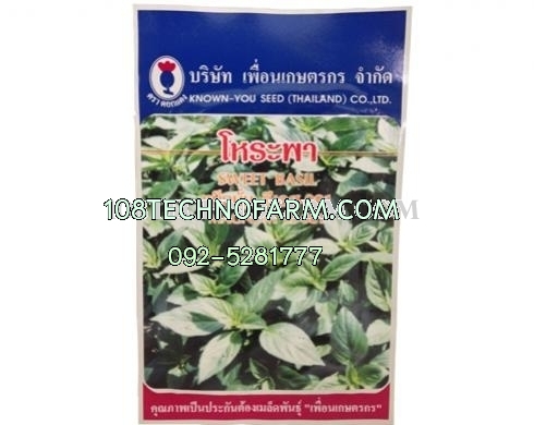 โหระพาแมคนั่ม