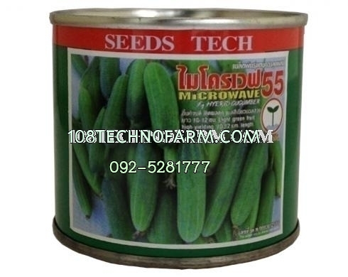 แตงกวาไมโครเวฟ55