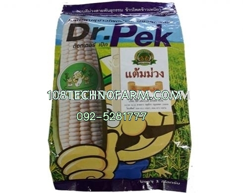 ข้าวโพดข้าวเหนียวด็อกเตอร์เป็กแต้มม่วง  1 Kg