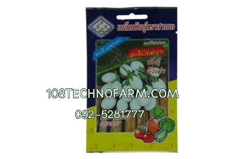 ผักซองAAAมะเขือไข่เต่าขาว