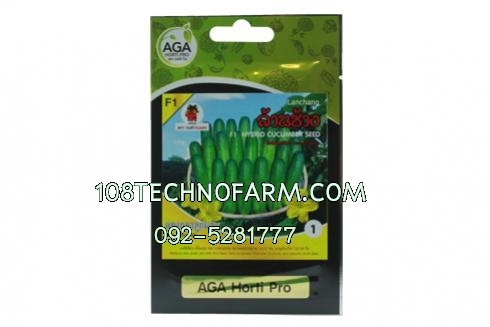 แตงกวาล้านช้าง 1กรัม แตงกวาล้านช้าง 1กรัม