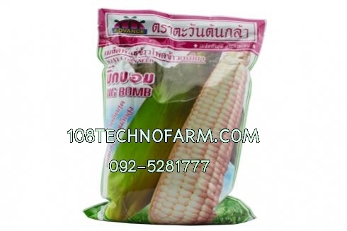 ข้าวโพดข้าวเหนียวบิ๊กบอม 1 กิโลกรัม