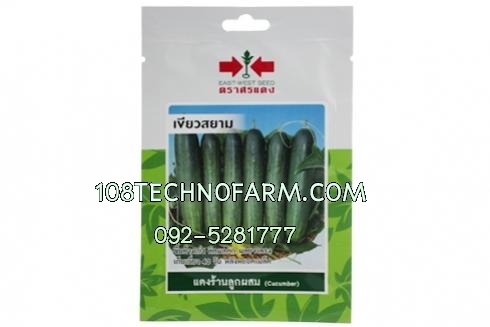 แตงร้านเขียวสยาม 