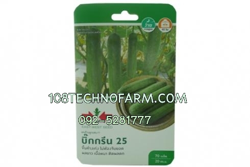 แตงร้าน บิ๊กกรีน25 70เมล็ด