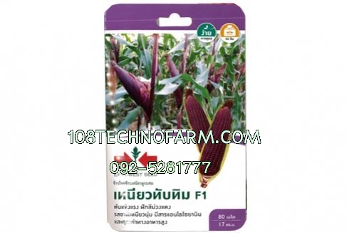 ข้าวโพดข้าวเหนียวเหนียวทับทิม 80 เมล็ด