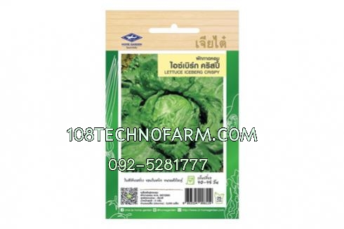 ผักซองผักกาดหอมไอซ์เบิร์กคริสปี้